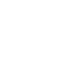 respiratory icon